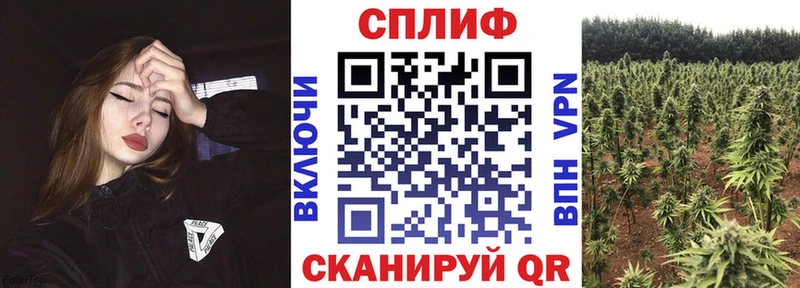 сколько стоит  Йошкар-Ола  Конопля Amnesia 
